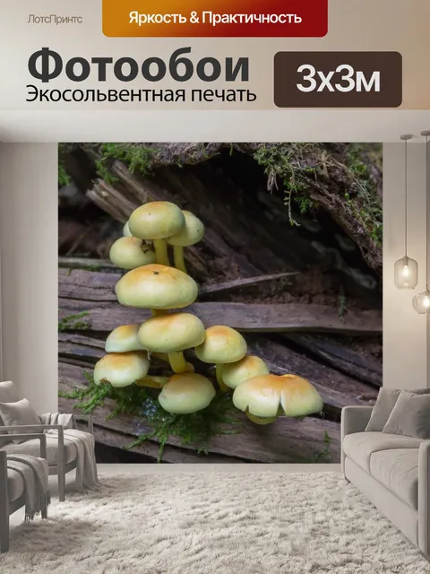 Фотообои Осень