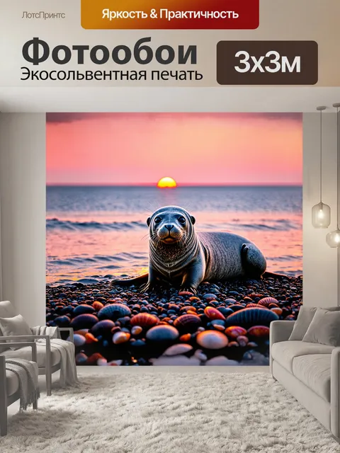 Фотообои дикий серый тюлень, отдыхающий на скалистом берегу, окруженный морской водой и ракушками, на фоне заката…