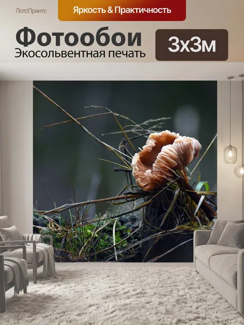 Фотообои Лес