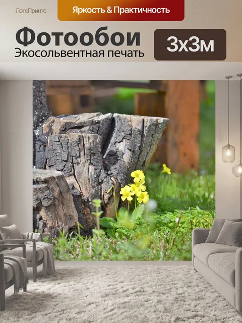 Фотообои Сад