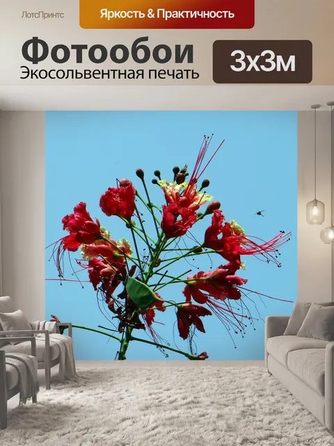 Фотообои Цветок павлина