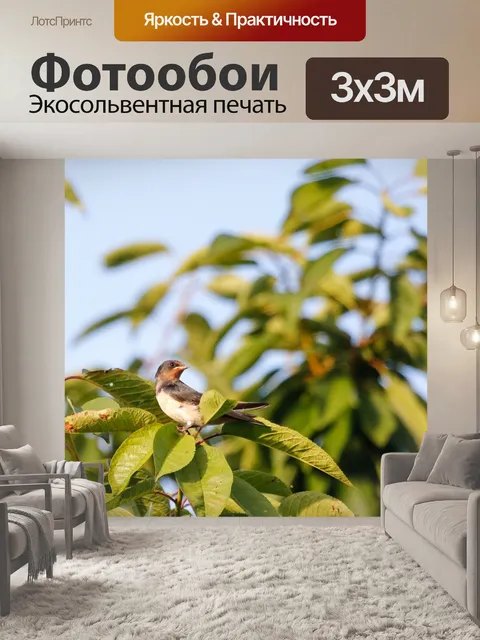 Фотообои Птица