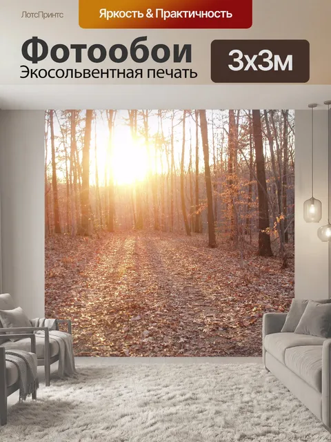 Фотообои Закат в лесу