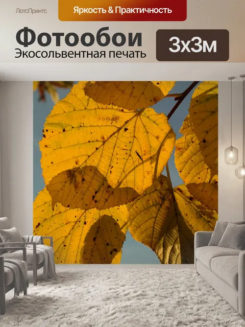 Фотообои Листья липы