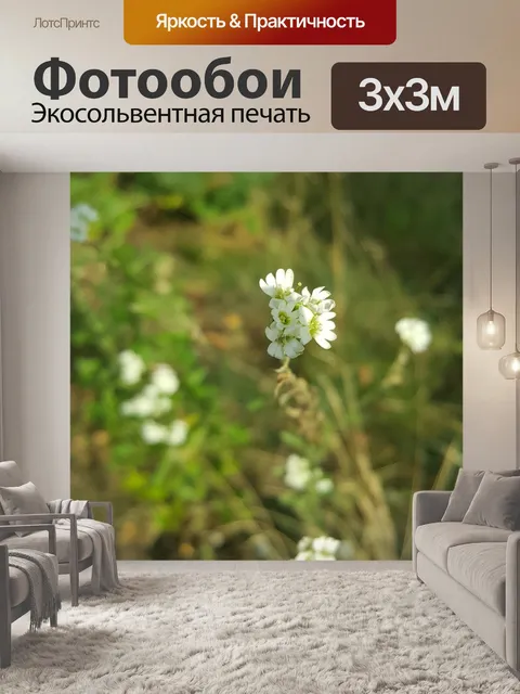 Фотообои Лес