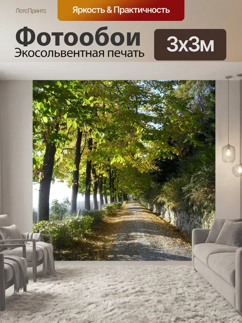 Фотообои Улица