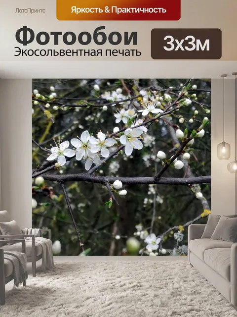 Фотообои Цветы