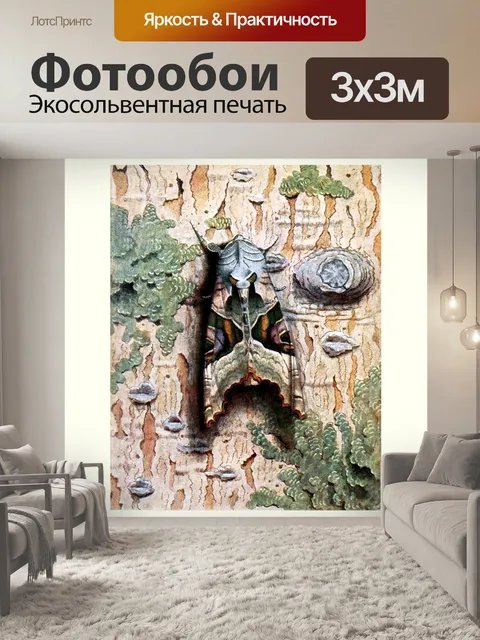 Фотообои Мотылек бабочка винтажное искусство
