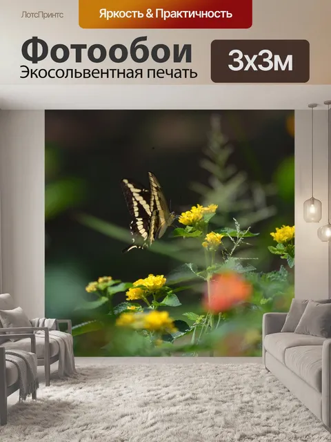 Фотообои Бабочка