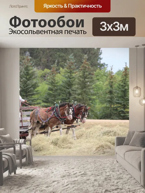Фотообои Лошади