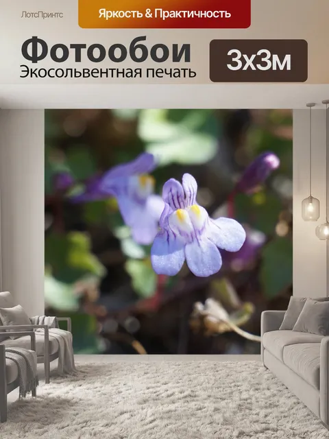 Фотообои Цветок