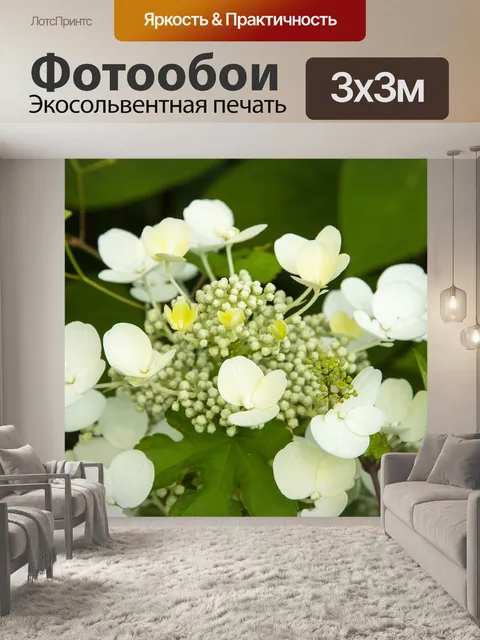 Фотообои Цветы