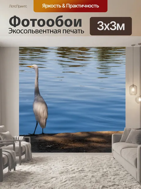 Фотообои Большая белая цапля