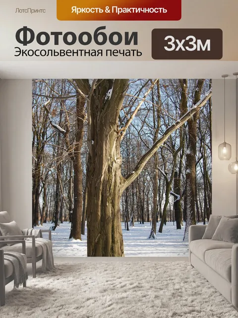 Фотообои Зима