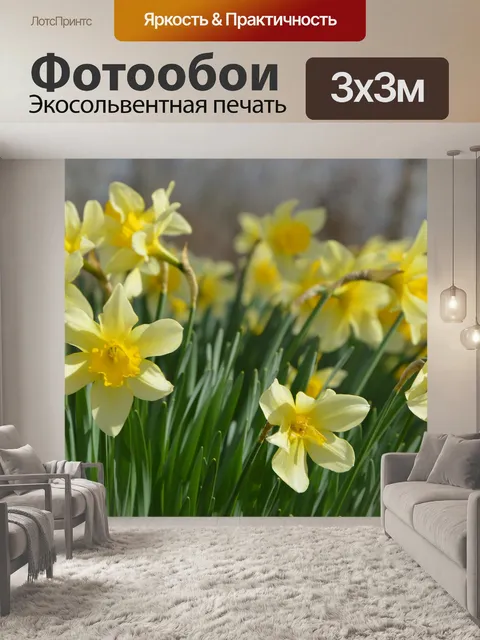 Фотообои Цветы