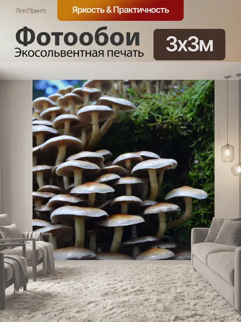 Фотообои Гриб