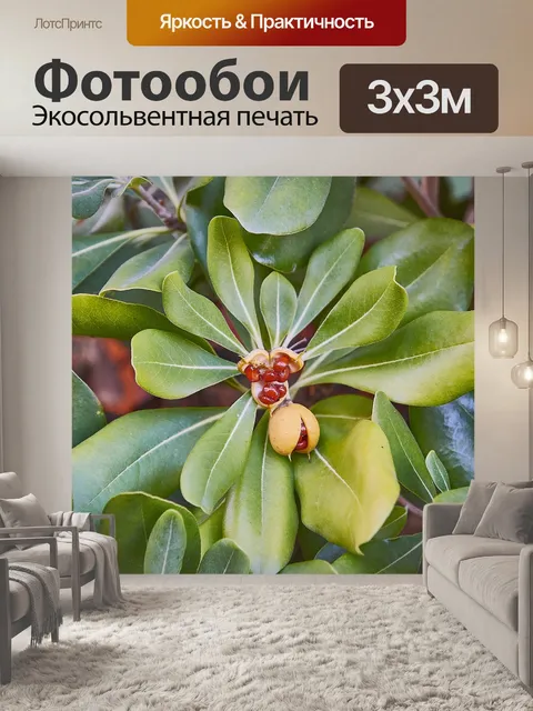 Фотообои Листы