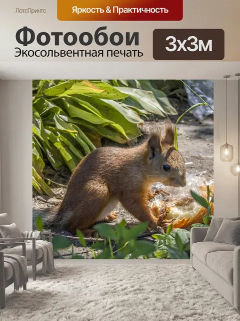 Фотообои Белка