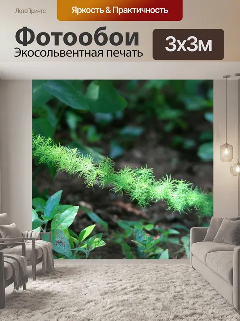 Фотообои Twig с листьями упруго