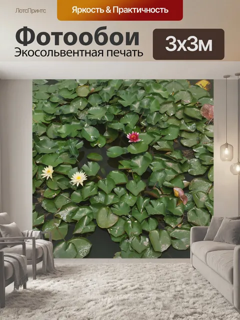 Фотообои Вода Lillies
