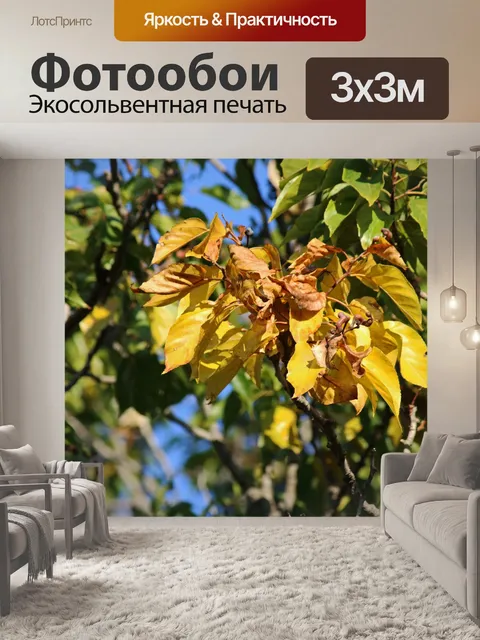 Фотообои гроздь желтых листьев