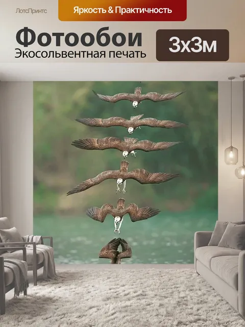 Фотообои Птица