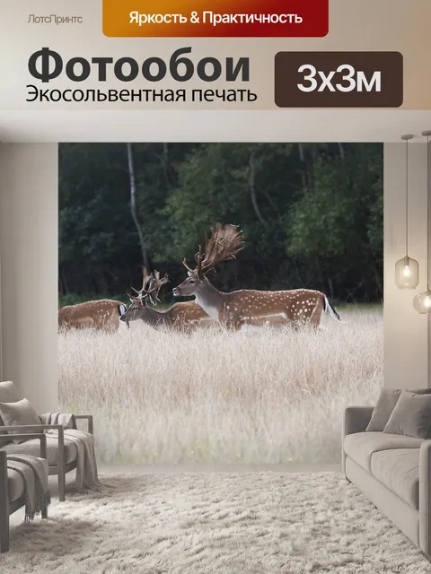 Фотообои Олень