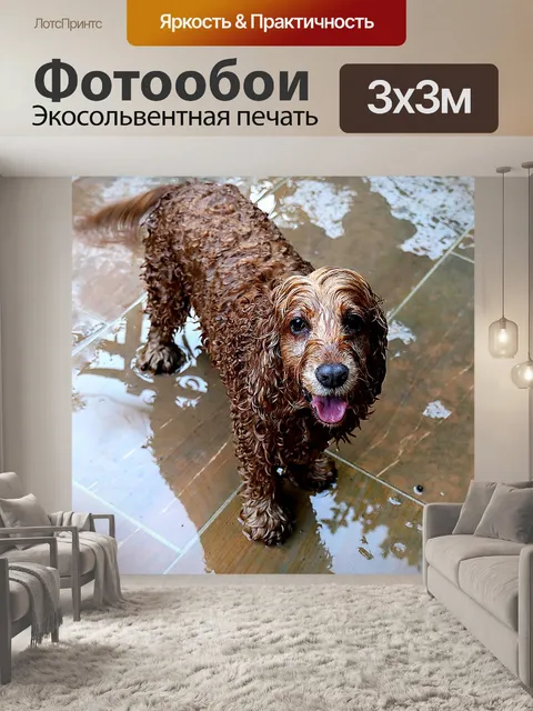 Фотообои Собака