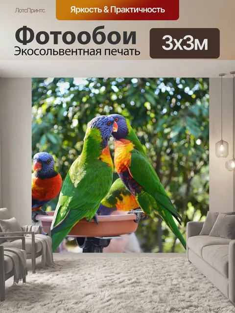 Фотообои Попугаи