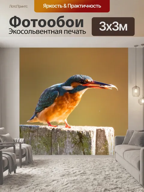 Фотообои Птица
