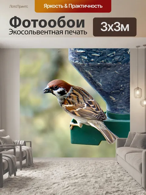 Фотообои Природа