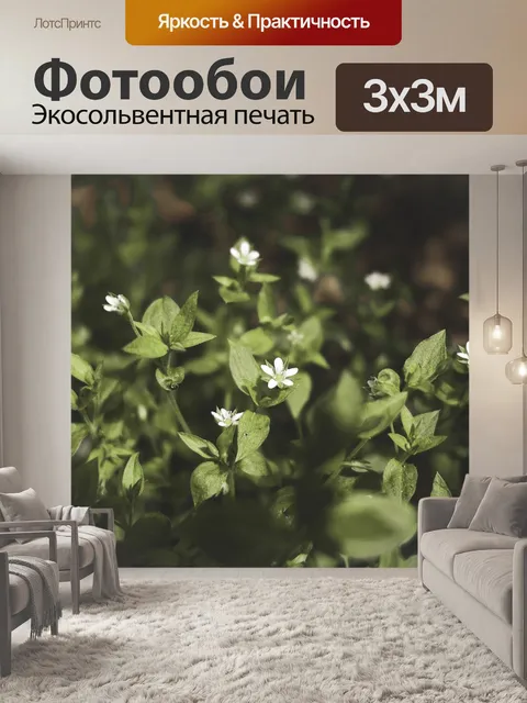 Фотообои Цветы