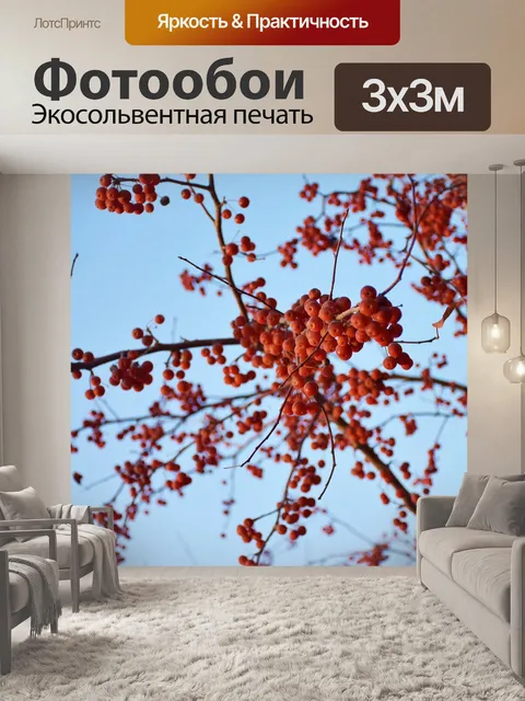 Фотообои Красный фрукт