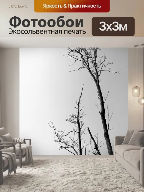 Фотообои Деревья