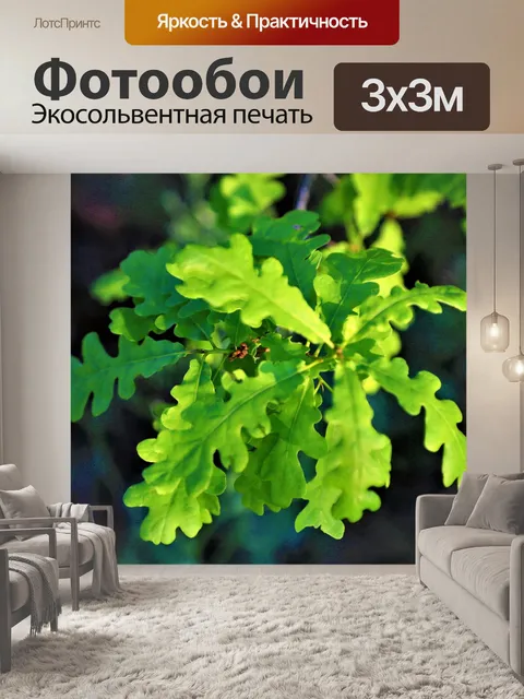 Фотообои Лес