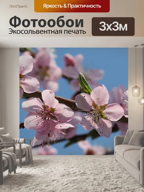Фотообои Персиковый цвет
