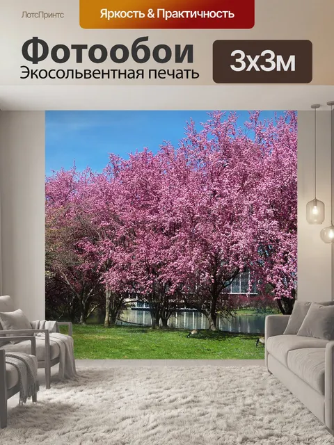 Фотообои Цветение вишни