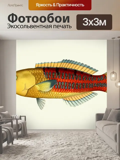 Фотообои Рыба Винтаж Живопись Клипарт
