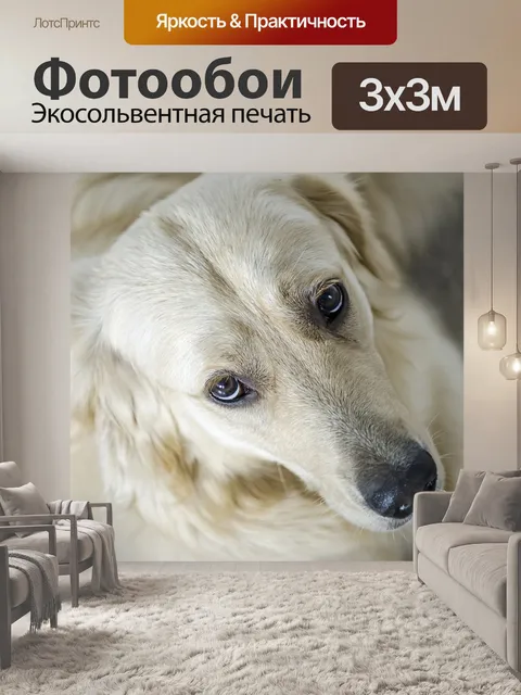 Фотообои Золотой