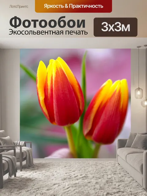 Фотообои Тюльпаны