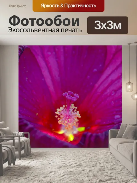 Фотообои Цветы