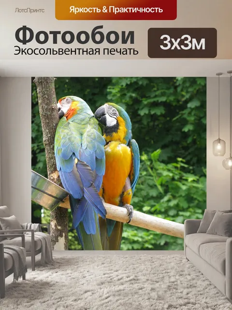 Фотообои Попугаи