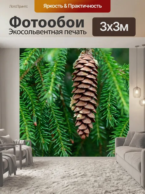 Фотообои Еловая шишка