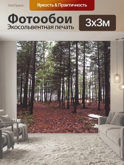 Фотообои Лес
