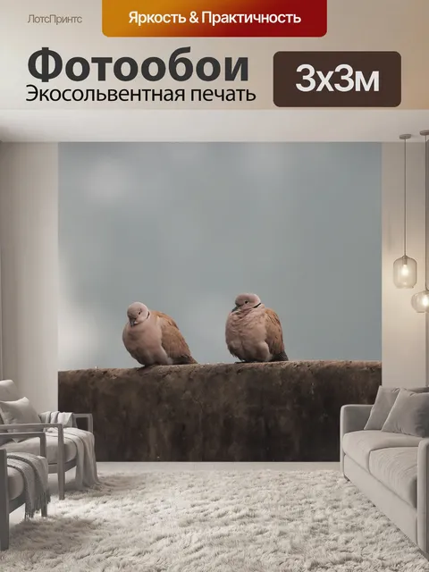 Фотообои Птицы