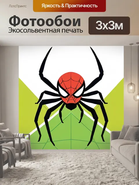 Фотообои паук минимализм