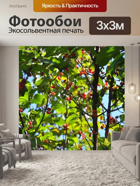 Фотообои Природа