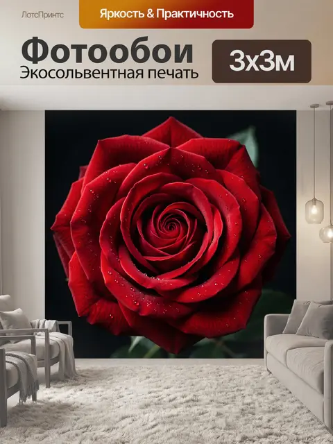 Фотообои Красная роза с каплями росы
