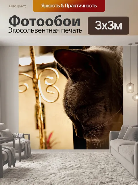 Фотообои Кошка