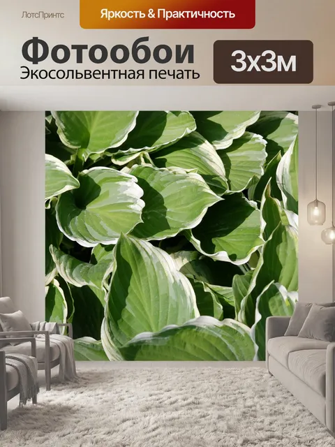 Фотообои Листья